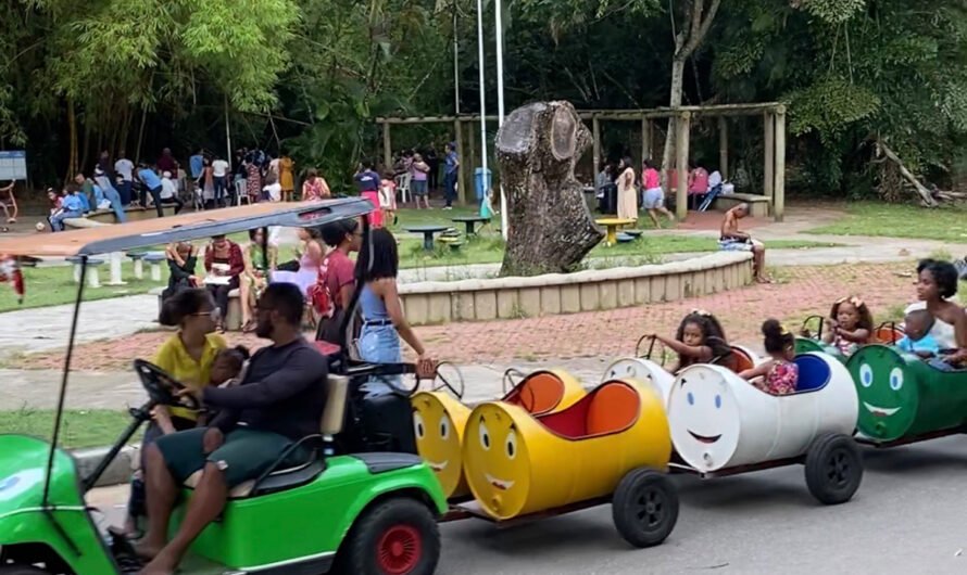 O que fazer em Salvador com crianças: Guia completo de passeios
